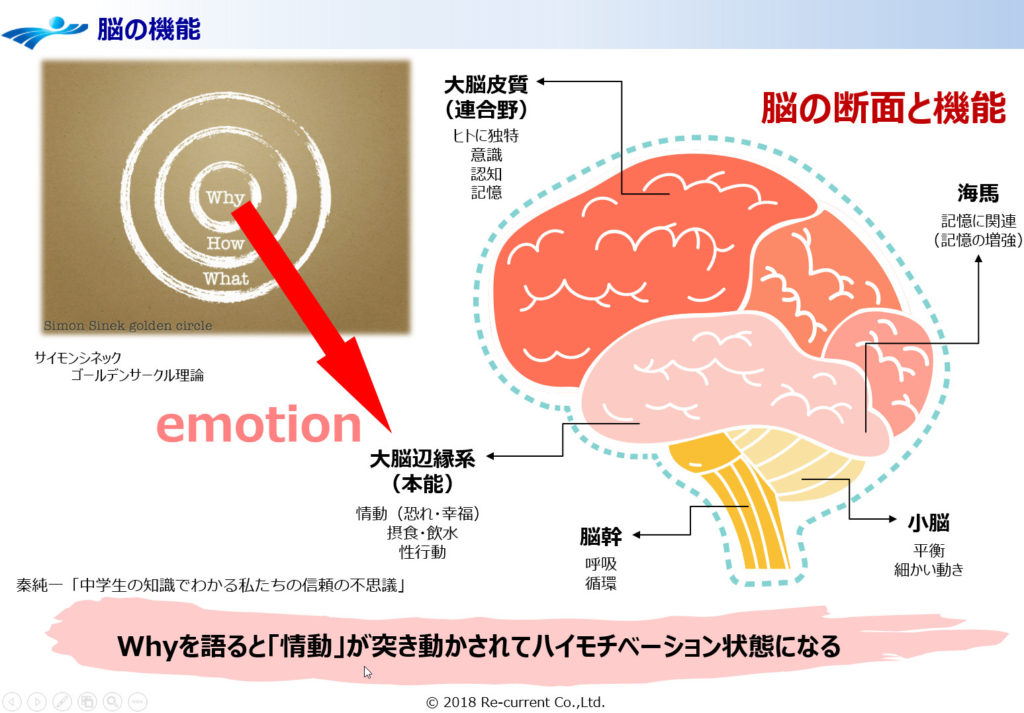 Visionng_図3_大脳辺縁系図解、Whyを語るとハイモチベーターになる